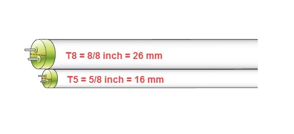 Sự khác biệt giữa đèn T5 và đèn T8 