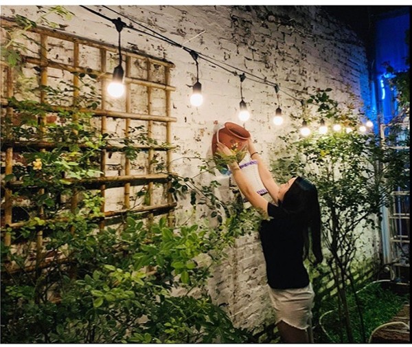 Đèn LED đui xoáy dạng dây LED trang trí 