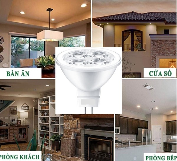 Một số ứng dụng phổ biến của đèn mắt ếch 